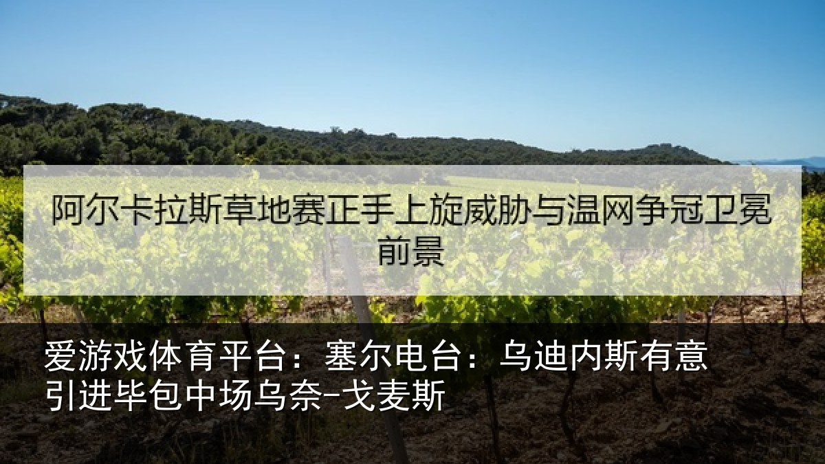 爱游戏体育平台:塞尔相关情况引进相关情况斯