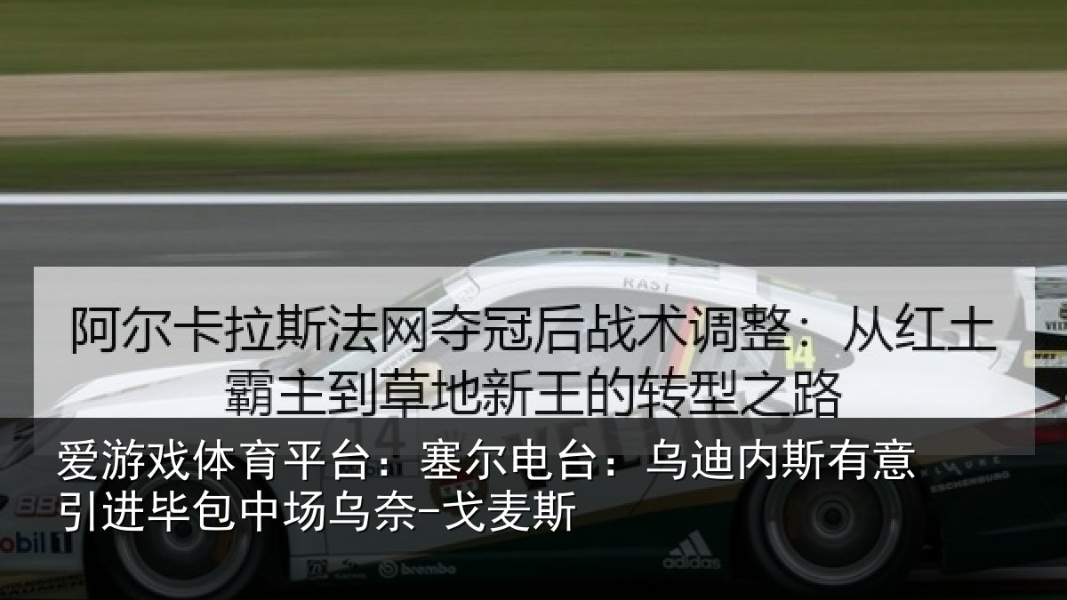 爱游戏体育平台:塞尔相关情况引进相关情况斯