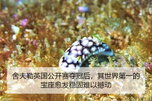 she-fu-lei-ying-guo-gong-kai-sai-duo-guan-hou-qi-shi-jie-di-yi-de-bao-zuo-yu-fa-wen-gu-nan-yi-han-dong-2-851.jpg