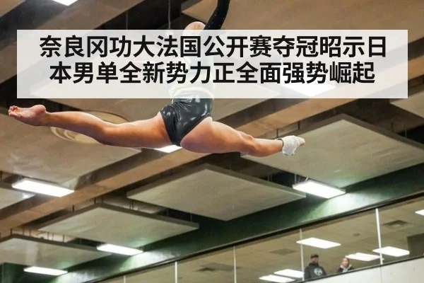 奈良冈功大法国公开赛夺冠昭示日本男单全新势力正全面强势崛起